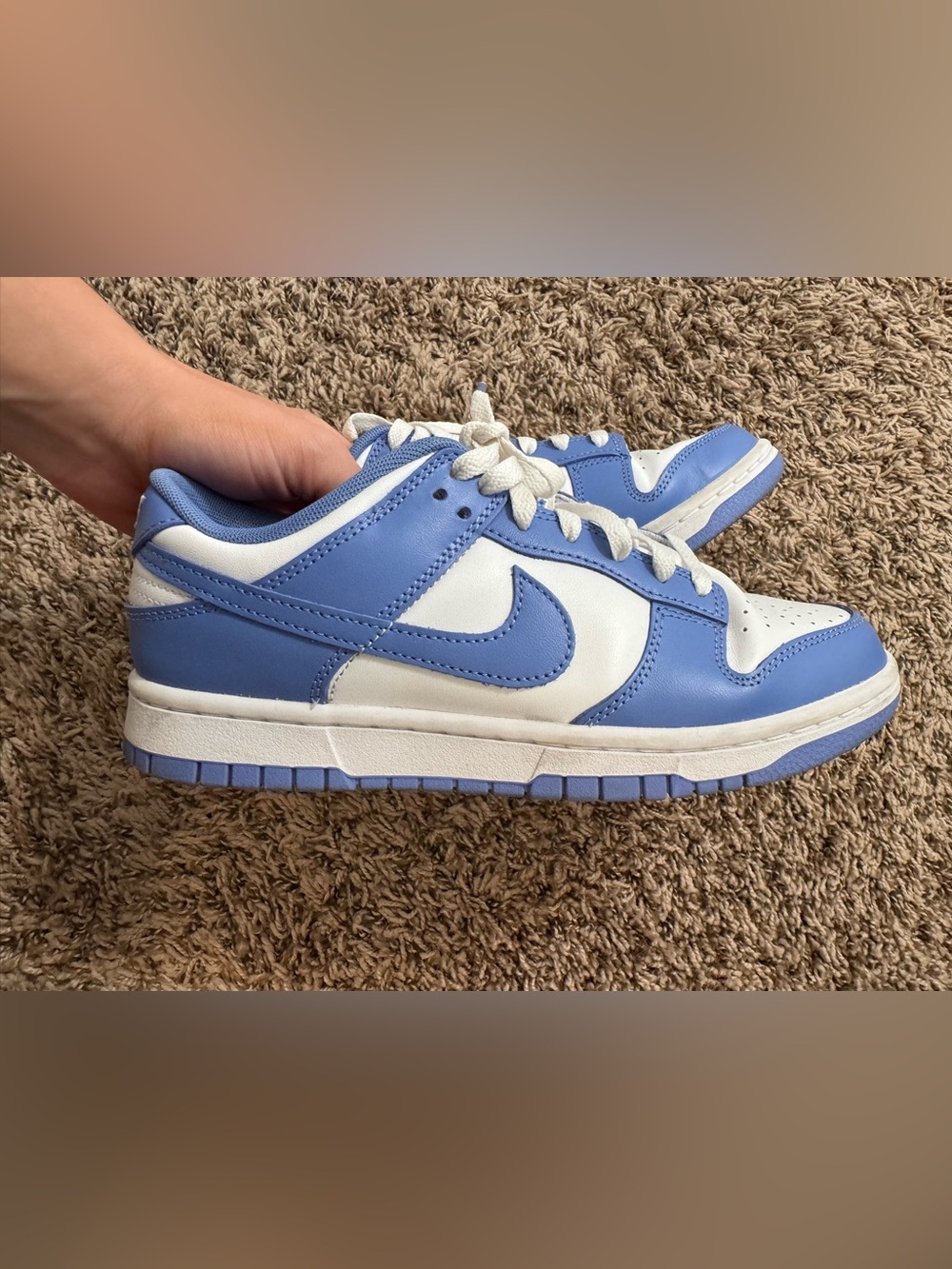 Nike Low-Top Dunk Sneakers in Polar Blue